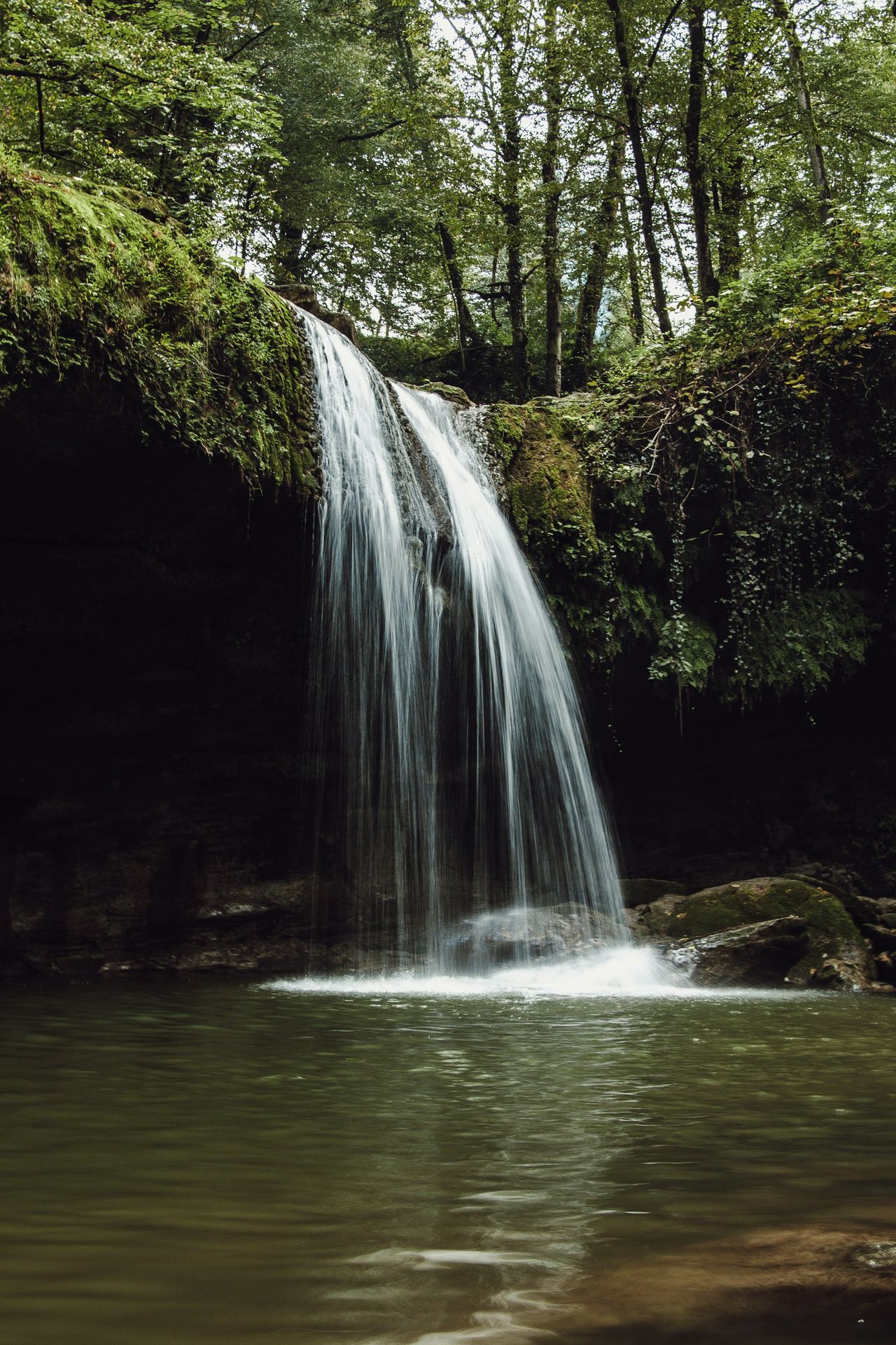 water falls in the middle of green trees